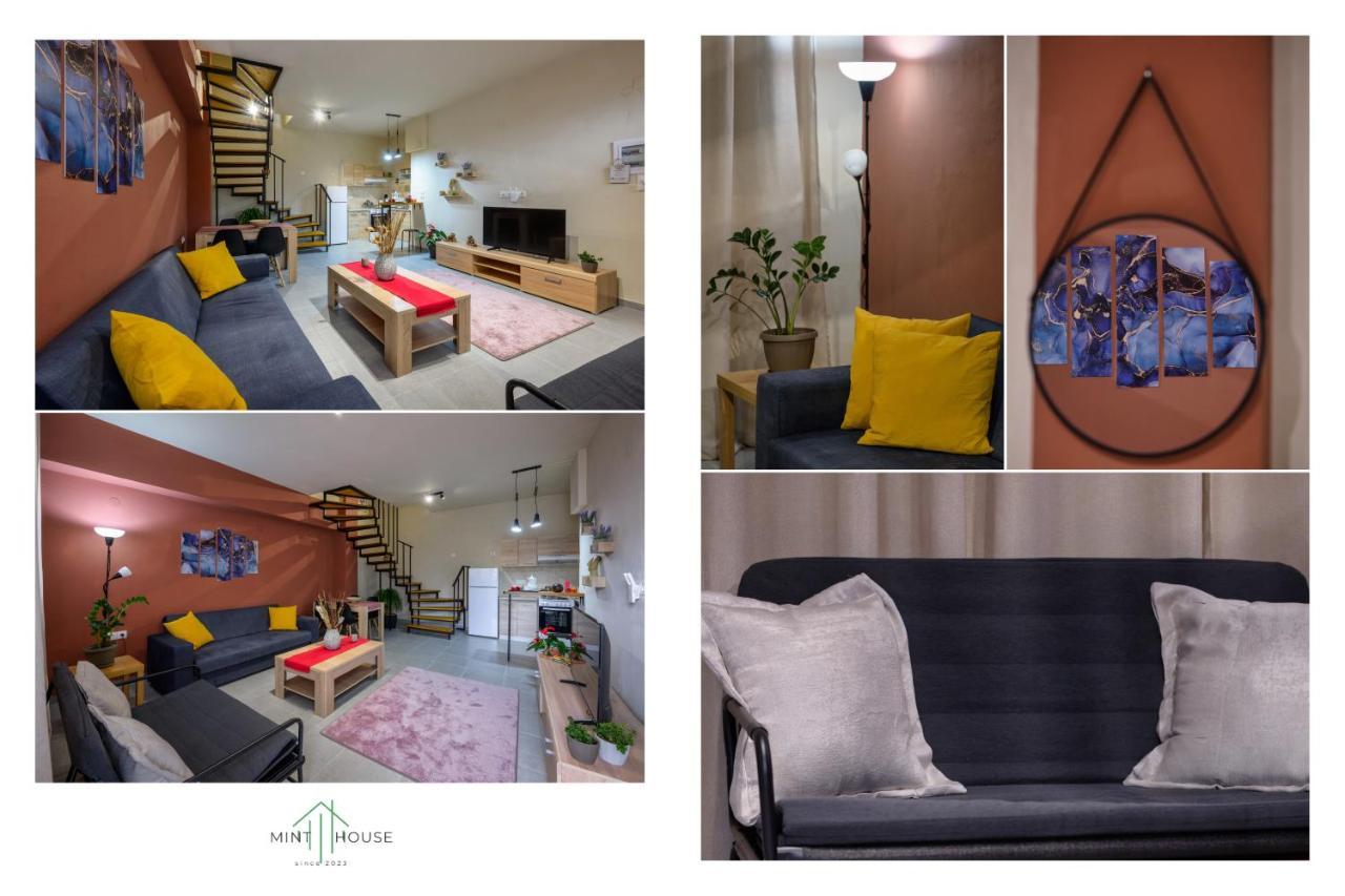 Mint House Apartment Ioannina Exterior photo