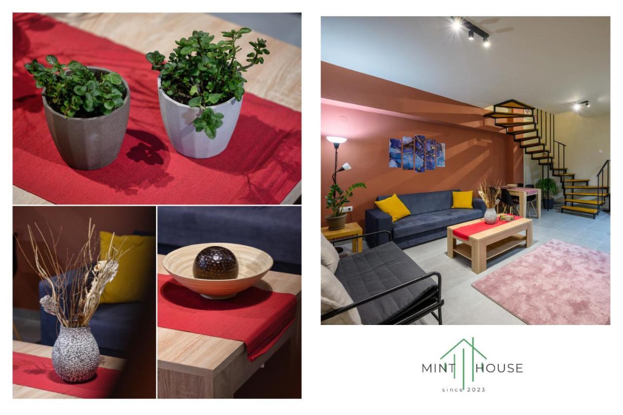Mint House Apartment Ioannina Exterior photo